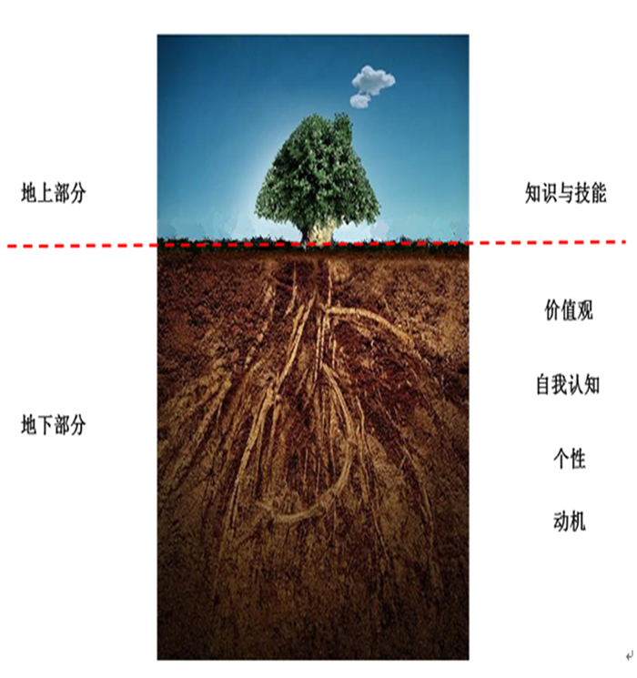 遠(yuǎn)東營(yíng)銷經(jīng)理大樹(shù)素質(zhì)模型